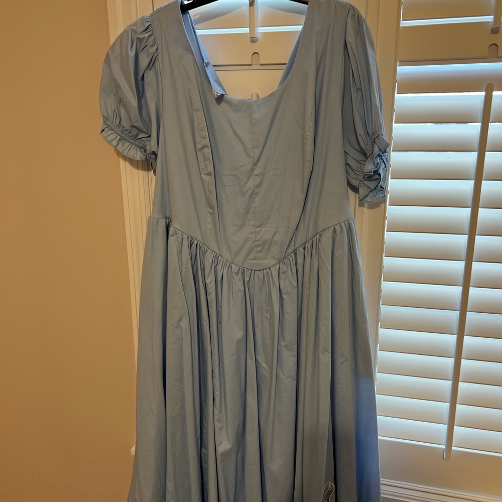 Disney Princess Cinderella Sky Blue Garment
